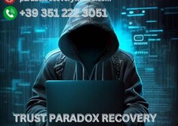 HIRE CRYPTOCURRENCY RECOVERY EXPERTS- PARADOX RECOVERY WIZARD